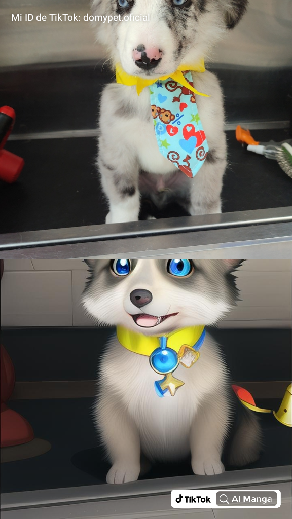 collar